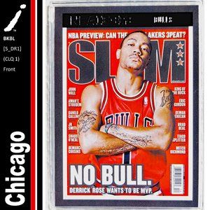 Chicago Bulls (Derrick Rose) - BKBL [5_DR1]